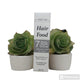 Havelyn 7 Oils Hair Food – Trusted Herbal Care for Your Hair My Store